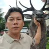 nhiphong835