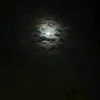 mehdi_mj10