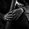 pitbull_bass