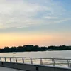 user_56728495