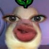 mformilla__