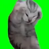 _tanakadesu