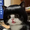 yiyi_18t