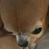 bbbbbbbbbbbbbbbbbbbbblo