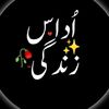 sadhunyarsachii1