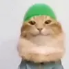 hhgwbfxra_