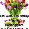 gulec69