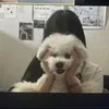 hhhshuj