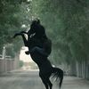 ahmed_ayman12321
