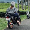 Berty135shop