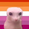 baquenoah