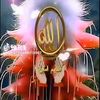 dian0854