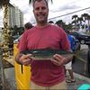 michaelfitzgerald78