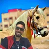 mohsinelhajji