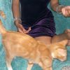 furbabymotha_