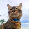 kittocatto_
