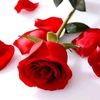 user8640923109055