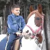 gerardo.petillo