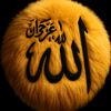 omerzaiedit2