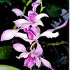 Sắc màu cuộc sống VT