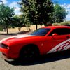 ladydrivenscatpack
