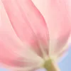 hanne_2112