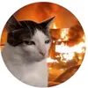 why_are_u_here143