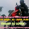 djlover.vlog