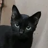 mahito0071
