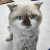 giooproducer