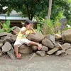 mas.ull731