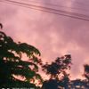 user8600475180035