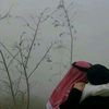 www.tiktok.com.siyaad