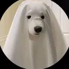 phan_420