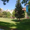 silviapalacios550