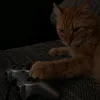 pineapplecat007