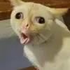 lec_91