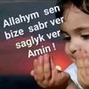 user3931042963569