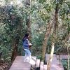 tudmang_46_