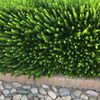 beattyforlida298