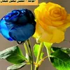 oasfy
