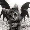 scvmi