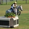 alpeventing