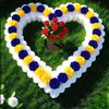waseem7342