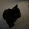 __spaceontiktok__