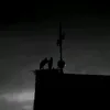 199_cm