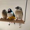 i.love.finches