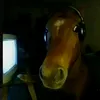 luanribeiro814