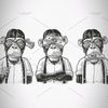 mohamedmessoun2