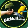 bitkicilikalemi